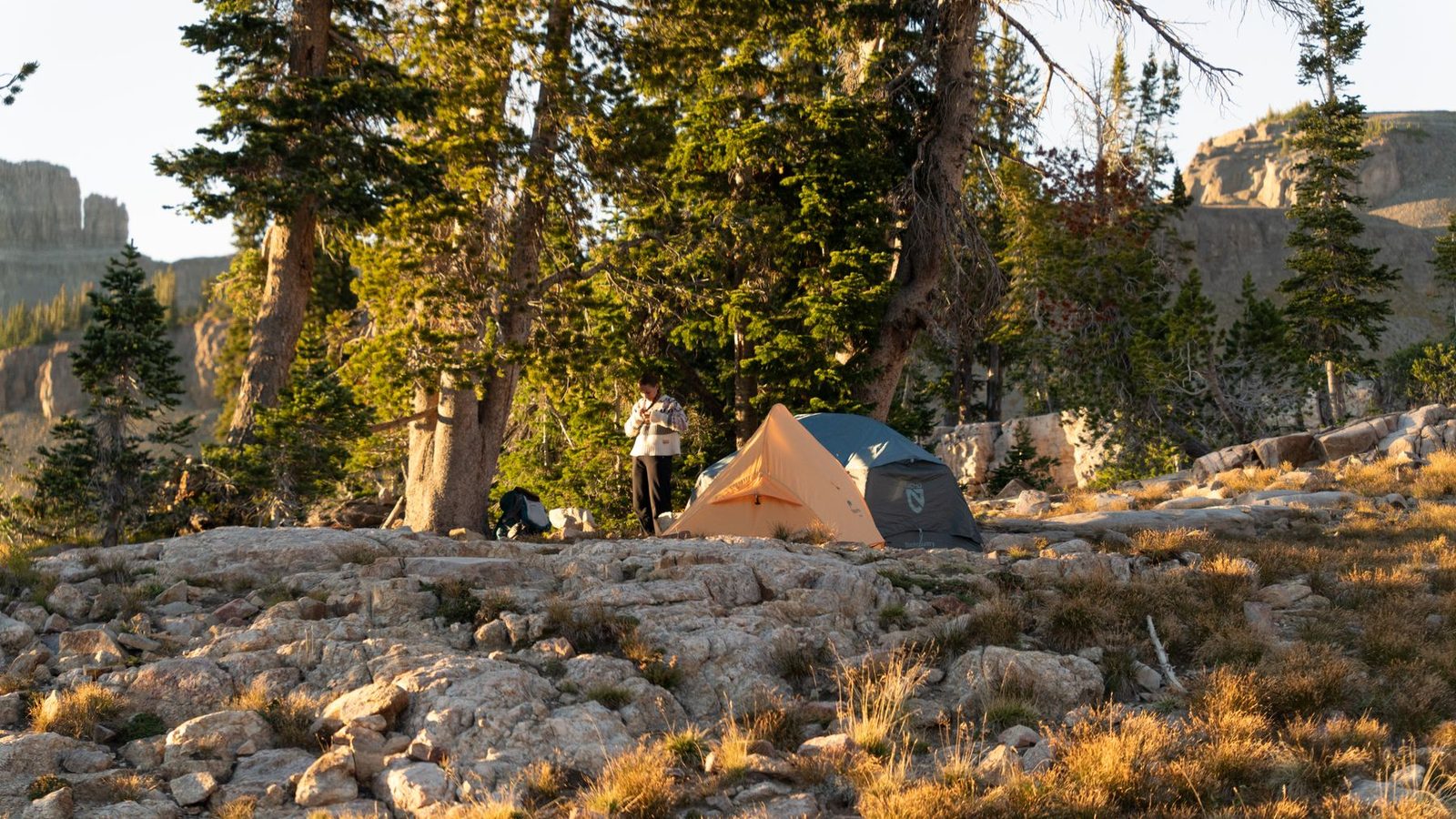 Best Backpacking Tents Over $300 for 2026